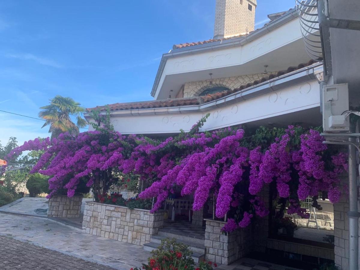 Villa Purić Rovigno Esterno foto